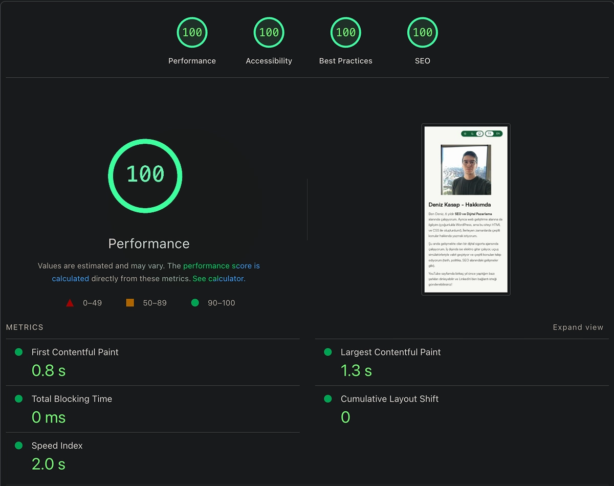 PageSpeed Scores — 100 across the board